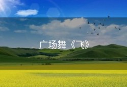 广场舞《飞》