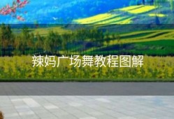 辣妈广场舞教程图解