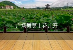 广场舞莫上花儿开