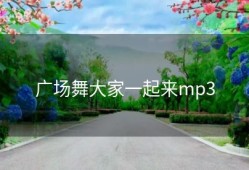 广场舞大家一起来mp3