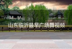 山东临沂最早广场舞视频