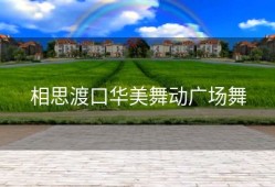 相思渡口华美舞动广场舞