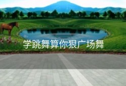 学跳舞算你狠广场舞