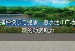 播种快乐与健康：惠水涟江广场舞的动感魅力