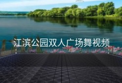 江滨公园双人广场舞视频