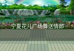 宁夏花儿广场舞送情郎