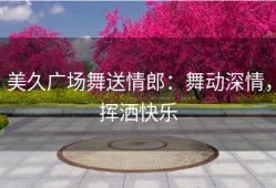 美久广场舞送情郎：舞动深情，挥洒快乐