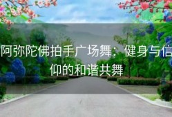 阿弥陀佛拍手广场舞：健身与信仰的和谐共舞