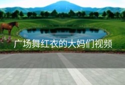 广场舞红衣的大妈们视频