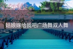 姑娘嫁给我吧广场舞双人舞