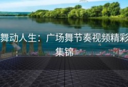 舞动人生：广场舞节奏视频精彩集锦