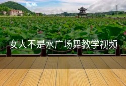 女人不是水广场舞教学视频