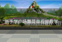 新手学广场舞简单视频教学