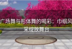 广场舞与形体舞的喝彩：巾帼风采绽放舞台