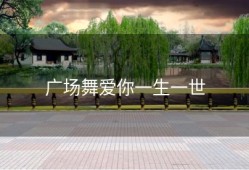 广场舞爱你一生一世