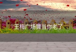 王梅广场舞当你老了