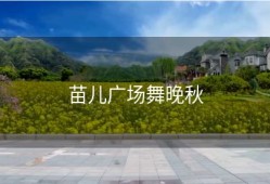 苗儿广场舞晚秋