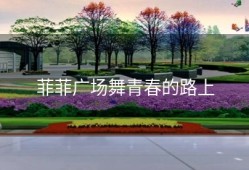 菲菲广场舞青春的路上