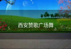 西安赞歌广场舞