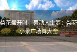 梨花盛开时，舞动人生梦：梨花小景广场舞大全