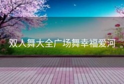 双人舞大全广场舞幸福爱河