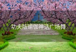 功夫版瑜伽神话广场舞