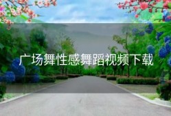 广场舞性感舞蹈视频下载