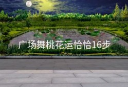 广场舞桃花运恰恰16步