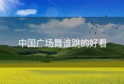 中国广场舞谁跳的好看