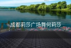 成都莉莎广场舞何莉莎