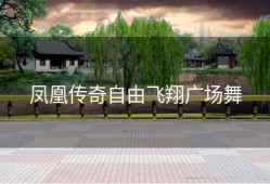 凤凰传奇自由飞翔广场舞