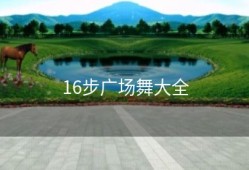 16步广场舞大全
