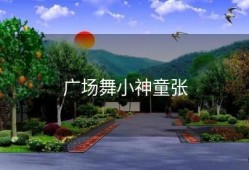 广场舞小神童张