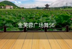 金芙蓉广场舞56