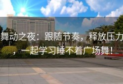 舞动之夜：跟随节奏，释放压力，一起学习睡不着广场舞！