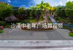 沙漠中老年广场舞视频