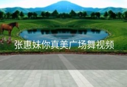 张惠妹你真美广场舞视频