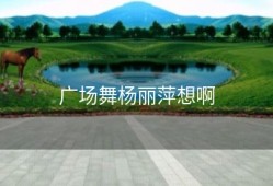 广场舞杨丽萍想啊