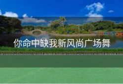 你命中缺我新风尚广场舞