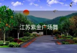 江苏紫金广场舞