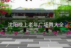 沈阳晚上老年广场舞大全