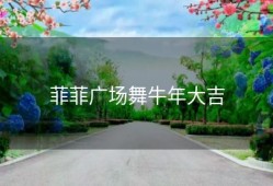 菲菲广场舞牛年大吉