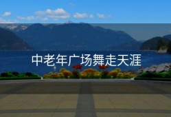 中老年广场舞走天涯