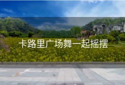 卡路里广场舞一起摇摆