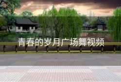 青春的岁月广场舞视频