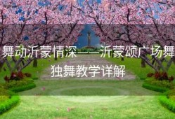 舞动沂蒙情深——沂蒙颂广场舞独舞教学详解