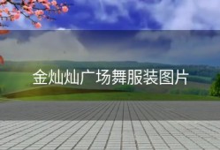 金灿灿广场舞服装图片