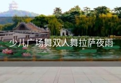 少儿广场舞双人舞拉萨夜雨