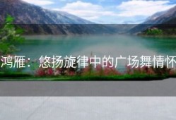 鸿雁：悠扬旋律中的广场舞情怀
