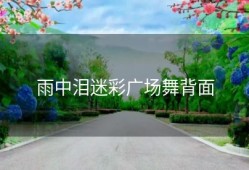 雨中泪迷彩广场舞背面